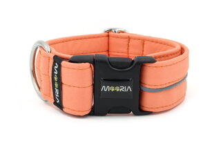 Reflexhalsband Salmon