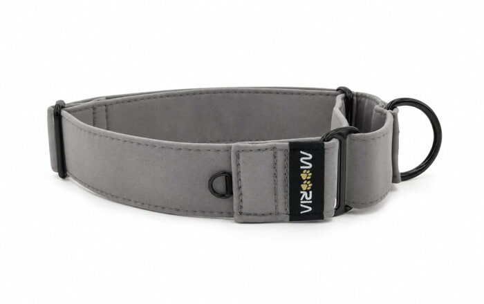 Martingale-Halsband – schwarze Beschläge