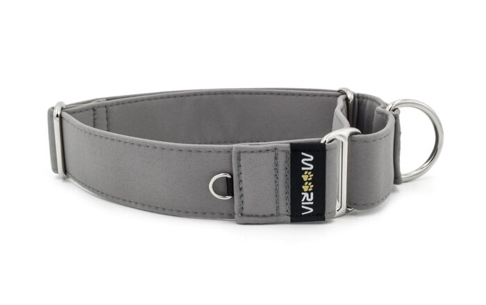 Martingale-Halsband