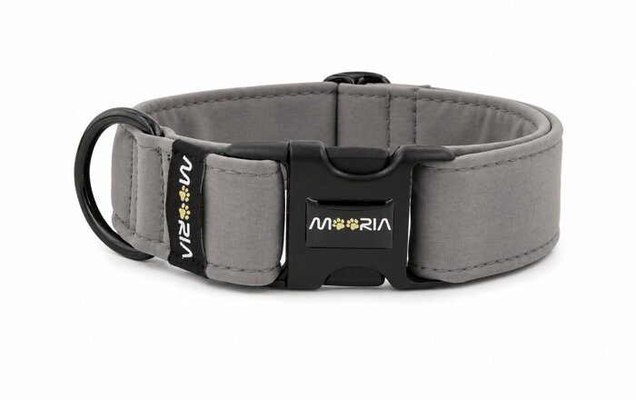 Halsband mit Plastikverschluss – schwarze Beschläge
