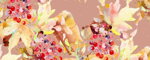 Halsband Vogelbeeren