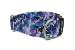 Halsband Gletscher