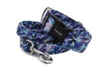 Halsband Gletscher