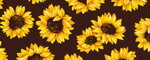 Halsband Sonnenblume
