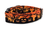 Halsband Halloween