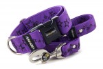 Halsband Stars