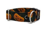 Halsband Kürbis