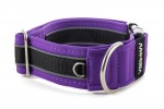 Halsband Reflex Fuchsia Violet II - Detail des Halbrings