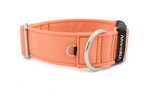 Halsband Salmon - Detail des Halbrings