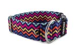 Halsband Sharp Waves