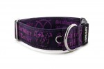 Halsband Staffordshire Bull Terrier Violet - Detail des Halbrings