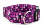 Halsband Violet Dots