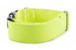 Halsband Neon Yellow - Detail des Musters