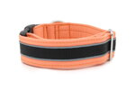 Halsband Reflex Salmon II - Detail des Musters