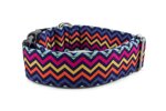 Halsband Sharp Waves