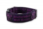 Halsband Staffordshire Bull Terrier Violet - Detail des Musters
