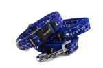 Halsband Border Collie Life Blue mit der Leine