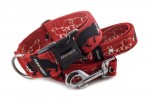Leine Border Collie Life Red