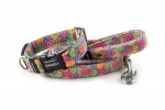 Halsband Color Circles