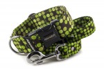 Leine Bright Green Dots mit dem Halsband