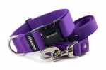 Halsband Fuchsia Violet mit der Leine