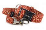 Leine Giraffe