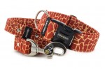 Leine Giraffe mit dem Halsband