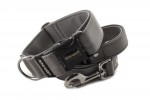 Halsband Gray mit der Leine