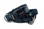 Halsband Hogweed Blue mit der Leine