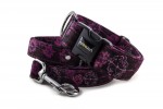 Leine Hogweed Purple mit dem Halsband