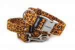 Halsband Jaguar mit der Leine