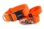 Leine Neon Orange mit dem Halsband