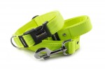 Halsband Neon Yellow mit der Leine