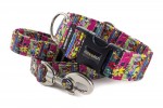 Halsband Painted Meadow mit der Leine