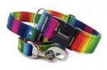 Halsband Rainbow lines mit der Leine