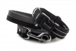 Halsband Reflex Black II mit der Leine