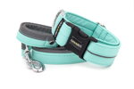 Halsband Reflex Fresh Mint I mit der Leine