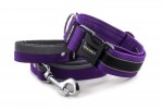 Halsband Reflex Fuchsia Violet II mit der Leine