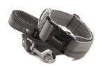 Leine Reflex Gray mit dem Halsband