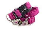 Leine Reflex Magenta mit dem Halsband