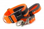 Halsband Reflex Neon Orange II mit der Leine