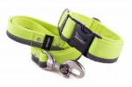 Leine Reflex Neon Yellow mit dem Halsband