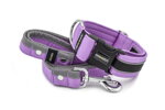 Halsband Reflex Orchid Violet II mit der Leine