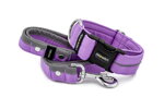 Halsband Reflex Orchid Violet I mit der Leine