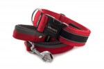 Halsband Reflex Royal Red II mit der Leine