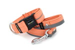 Halsband Reflex Salmon I mit der Leine