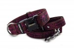 Halsband Staffordshire Bull Terrier Pink