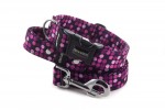 Halsband Violet Dots mit der Leine