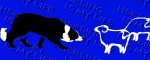 Leine Border Collie Life Blue - Musteransicht