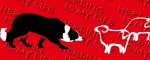 Leine Border Collie Life Red